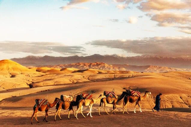 Camel Trekking Merzouga: Your Ultimate Guide to Exploring the Sahara Desert