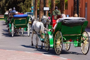 10 Marrakech Like a Pro: Top Attractions, Local Secrets & Unforgettable Adventures – Ultimate Morocco Tours Trips Guid